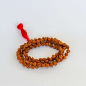 Rudraksha